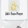 Job’s Tears (seeds)